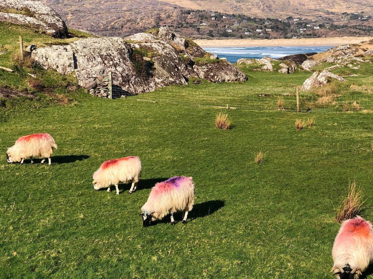 Bed and Breakfast Derrynane Bay House Кэрданиел Экстерьер фото